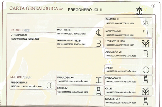 carte genealogique pregonero