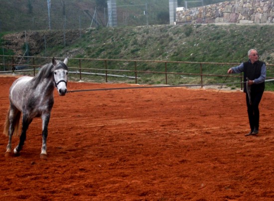 travail du cheval