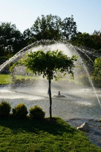 IMG_1908         